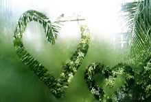 长穗剑完整教学视频-开云大陆中国